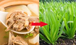 Lượng canxi có trong canh xương hầm hóa ra rất thấp, hãy thay bằng hai loại rau 'rẻ bèo' rất sẵn ở chợ Việt này 