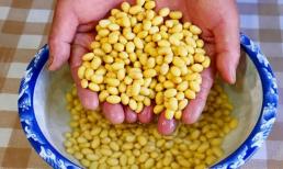 Người xưa nói: 'Ăn đậu vào mùa đông để khỏe mạnh và sống lâu hơn', vậy ăn thế nào cho hiệu quả?