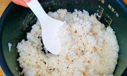 Hâm nóng cơm có gây ung thư không? Bác sĩ: Cố gắng đừng hâm nóng lại 6 loại thực phẩm này