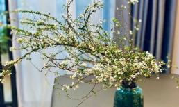 3 cách cắm tuyết mai đẹp, tươi lâu, học luôn để Tết này còn trang hoàng nhà cửa