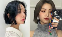 Xu hướng tóc ngắn 2024: tóc ngắn trên tai, cắt nhiều tầng kiểu đuôi sói; 9 đề xuất lấy cảm hứng tạo kiểu tóc ngắn