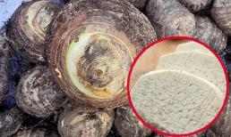 Khi mua khoai sọ nên chọn củ tròn hay củ dài sẽ ngon hơn? Người trồng mách bạn mẹo '3 phải, 3 không' để chọn 10 củ ngon như 10 