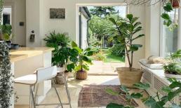 Cuối năm, đừng quên làm những việc này để rước may mắn, đón tài lộc vào nhà