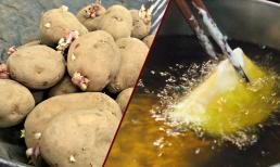 5 kiểu tiết kiệm trong nhà bếp 'tiếp tay' cho cả tá bệnh tật, nhất là ung thư, đừng vì tiếc chút tiền mà rước bệnh!