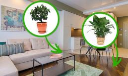 Dọn nhà đón Tết, đừng bỏ qua những mẹo này để không gian sống 'thơm lừng' mà không lo tốn tiền