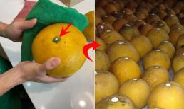 Mẹo bảo quản bưởi Diễn ăn Tết:  4 tháng không thối, không ủng, xuống nước ngọt lịm 