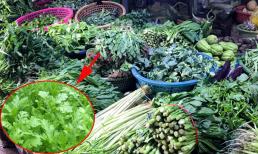 Loại rau ngày xưa chỉ tiến Vua, giờ bán rẻ bèo đầy ngoài chợ, nhưng lại vô cùng bổ dưỡng