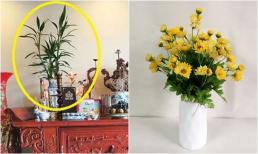 Đừng đặt hoa cúc trên bàn thờ mãi nữa, hãy dùng loại hoa cúng này đảm bảo gặp nhiều may mắn và giàu nhanh dịp lễ Tết
