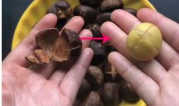 Ăn hạt dẻ 30 năm, tôi nhận ra trên vỏ hạt dẻ có một “cơ chế nhỏ” có thể bóc từng quả trong một giây, thật tuyệt vời