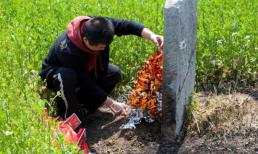 Tục ngữ có câu: “Một người không viếng hai ngôi mộ trong một tháng, và một người không xuống mộ trong hai năm”. Câu này có ý