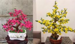 Dân mạng phát sốt với hoa kẽm nhung vừa sang lại rẻ và bền, chỉ cách làm cho người mới để làm ngay bình hoa đón Tết