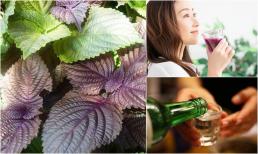 Loại nước chỉ với vài nghìn lại có thể giải rượu, giúp dưỡng da cho các chị em phụ nữ