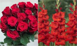 Rằm tháng Chạp nhất định phải cúng 3 loại hoa này, chỉ cần một loại thôi cũng đủ đầy may mắn, phúc lộc