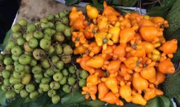 Rộ trào lưu dùng cây dư thừa, quả dư thừa bày lên ban thờ ngày Tết, chuyên gia lập tức đưa ra cảnh báo