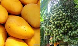 Bác sĩ có nói 4 loại “trái cây” không nên ăn, dễ đánh thức tế bào ung thư