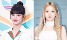 Minnie và Yuqi của nhóm (G)I-DLE nhập viện cấp cứu, công ty quản lý ra thông báo buộc phải tạm dừng hoạt động