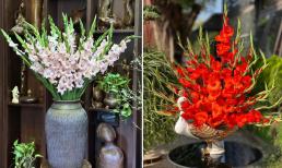 Loài hoa mang đến điềm lành và may mắn cho gia chủ, ngày Tết gia đình nào cũng trưng một bình để xua đuổi điềm xấu