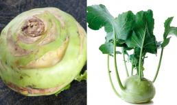 Su hào xấu mã, nứt nẻ an toàn hơn những củ mập, đẹp mỡ màng? Bí quyết chọn su hào ngon