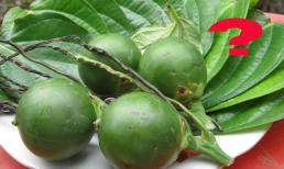 Khi làm lễ cúng cần bao nhiêu quả cau, bao nhiêu lá trầu mới đúng? 