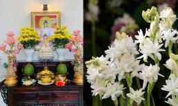 Ngoài cúc vàng, đây là 4 loại hoa vừa đẹp vừa thiêng rất hợp để cúng ông Công ông Táo 