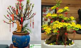 Cách bài trí hoa mai, hoa đào đón Tết đúng phong thủy, cho cả năm phát tài phát lộc
