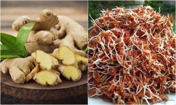 Ít ai để ý đến 5 loại thực phẩm dù mọc mầm vẫn sử dụng được 