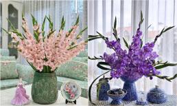 Hoa tượng trưng cho may mắn, Tết này nhất định phải cắm một lọ trong nhà, cả năm vượng tài, đắc lộc