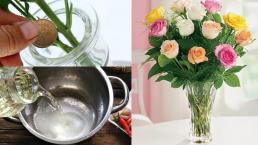 Cắm hoa chơi Tết chỉ dùng nước lạnh thôi là sai lầm lớn! Bỏ thêm thứ này, hoa để cả tháng vẫn tươi nguyên như vừa mới mua