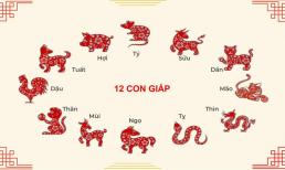 Tử vi 12 con giáp chủ nhật ngày 11/2/2024: Mùng 2 Tết, con giáp này đón may mắn?