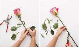 Mẹo 'hồi sinh' hoa Tết héo thành hoa tươi đơn giản nhất, đỡ mất tiền mua hoa thay liên tục