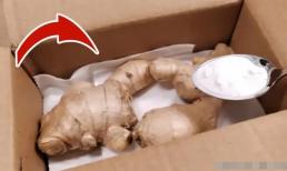 Đừng bảo quản gừng một cách bừa bãi, dưới đây là 3 mẹo bảo quản, bảo quản nửa năm vẫn tươi, không bị khô héo hay nảy mầm