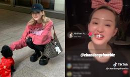 Trở lại sau nhiều drama, đây là phản ứng của Hiền Hồ khi được hỏi sao đi show nhiều