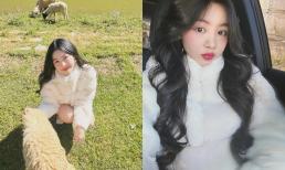 Con gái Quyền Linh yêu kiều trong loạt ảnh mới, nhan sắc ngày càng khiến nhiều người trầm trồ