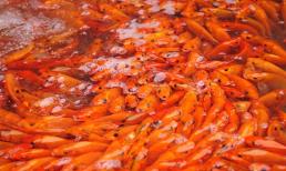 Những việc nên làm trong ngày Rằm tháng Giêng để cả năm may mắn, phú quý bình an