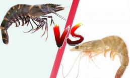 Tôm sông hay tôm biển ngon và tốt cho sức khỏe hơn? Đừng bị đánh lừa bởi giá cả 