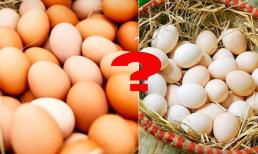 Trứng gà đỏ hay trứng gà trắng loại nào bổ hơn, rất nhiều người chọn sai 