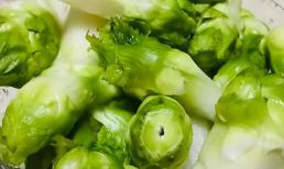 Rau mầm đá là gì? Tháng 3 ăn món này 'bổ hơn thịt' và ngon hơn tỏi tây, chỉ bạn cách phân biệt rau mầm đá SaPa và rau mầm đá Trung Quốc