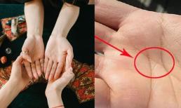 Xòe bàn tay có 3 nét này báo trước số phận giàu có đời đời, ai có 1 điểm cũng đáng chúc mừng