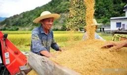 Năm 2024, giá 5 thứ này có thể tăng cao, ảnh hưởng tới ví tiền của bạn, hãy tìm hiểu sớm và lên kế hoạch sớm nhé