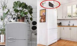 Thợ điện lâu năm: 3 thứ này đừng thể đặt lên nóc tủ lạnh không chỉ gây tốn điện mà còn ảnh hưởng đến tuổi thọ của tủ