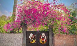 Trồng hoa giấy trước cổng nhà là tốt hay xấu theo quan niệm phong thủy? 