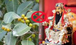 Chuyên gia phong thủy dặn đừng nên trồng 4 loại cây này vì 'chặn cửa' thần Tài, vào nhà nào nhà đó lụi bại