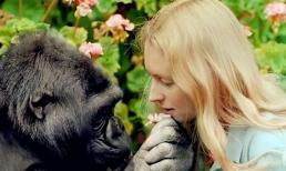 Thí nghiệm gây sốc tiêm tinh trùng của tinh tinh vào cơ thể người: Sau khi 5 người phụ nữ tham gia thí nghiệm, tại sao họ không dám thử lại?