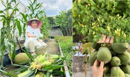 Mỹ Tâm khoe khu vườn hoa trái xanh mướt gây mê, “đi mỏi chân không hết” 