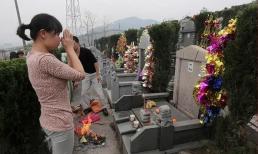 Hậu quả của việc lâu ngày không viếng mộ người già là gì? Bất hiếu chỉ là thứ yếu!