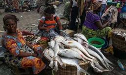 Tại sao người châu Phi không đủ ăn? Sau khi nhìn thấy thị trường thực phẩm của họ, bạn sẽ 'há hốc'