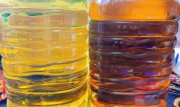 Nên mua dầu ăn 'màu đậm' hay 'màu nhạt'? Có sự khác biệt lớn giữa hai loại! Mua nhầm sẽ làm hại sức khoẻ