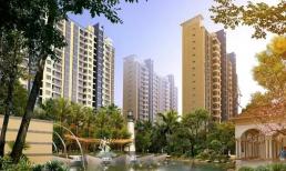 Đừng mua những loại nhà này dù có giảm giá đến đâu, nhiều người tham lam giá rẻ, khi dọn vào mới biết mình bị lừa