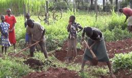 Tại sao người châu Phi ngay cả cơm ăn áo mặc cũng khó khăn lại không muốn làm ruộng? Có thật là vì đất đai cằn cỗi? 