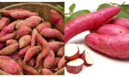 Khi mua khoai lang, nên chọn loại 'dài mảnh' hay 'dày và tròn'? Nhiều người không biết, có sự khác biệt lớn